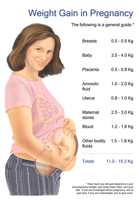 Hamilelikte kilo alımı nereye gidiyor?